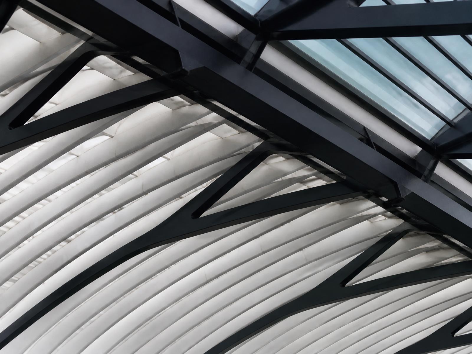 Repeating steel beams and white ribs across a modern transit roof